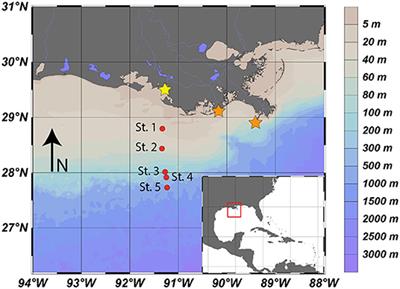 Sediments as a Source of Iron, Manganese, Cobalt and Nickel to Continental Shelf Waters (Louisiana, Gulf of Mexico)